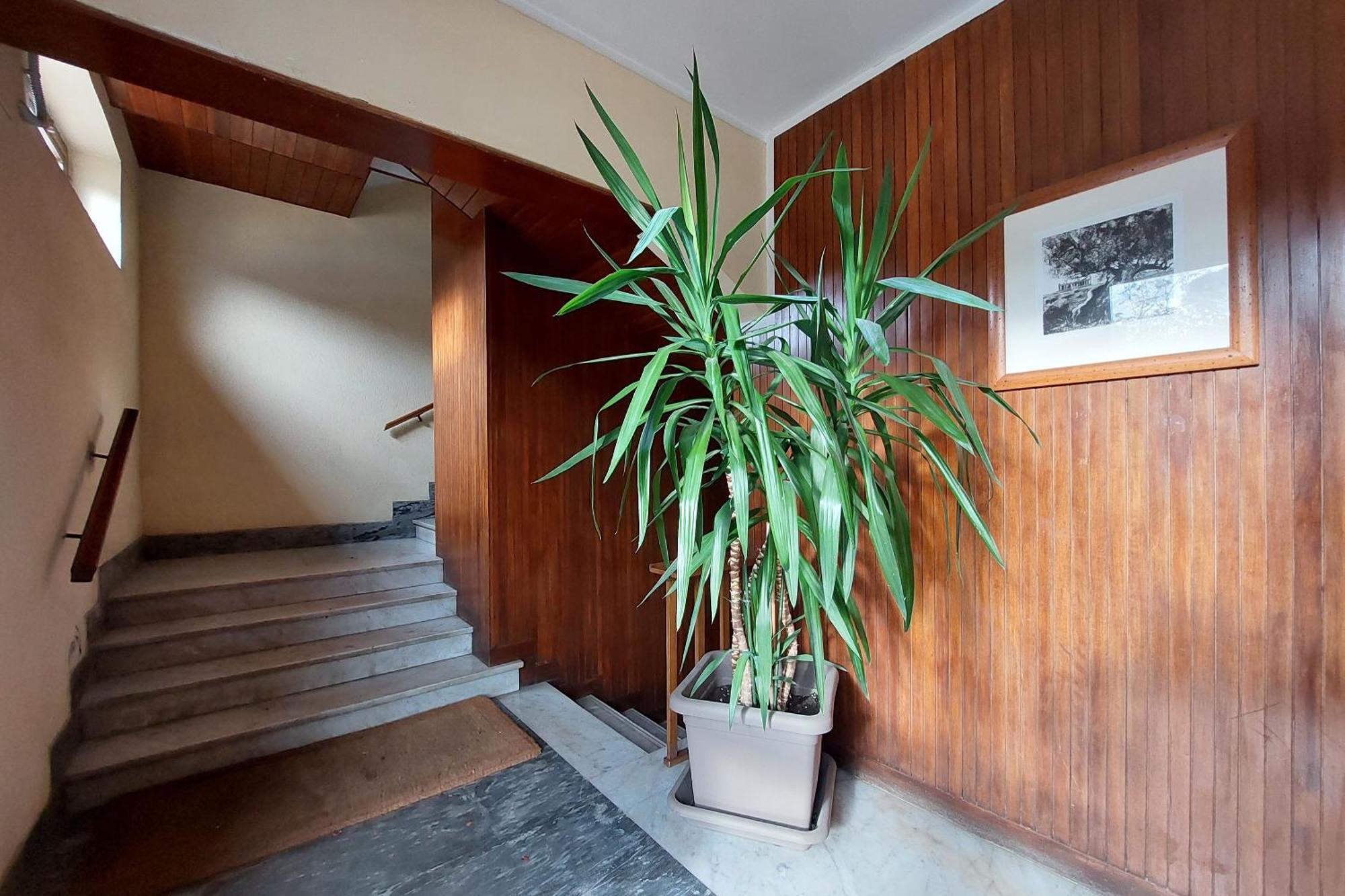 San Pietro'S Flat Apartment Rome Exterior photo